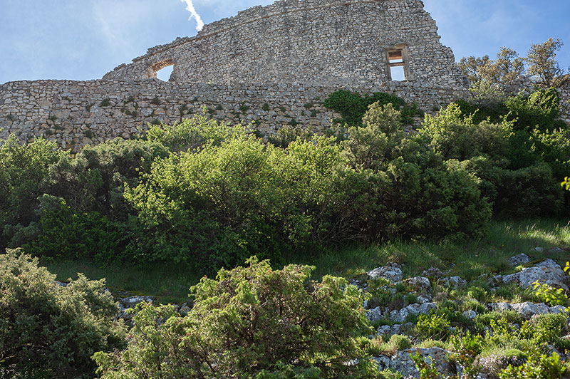 Le Castellas de Saint-Victor-La-Coste